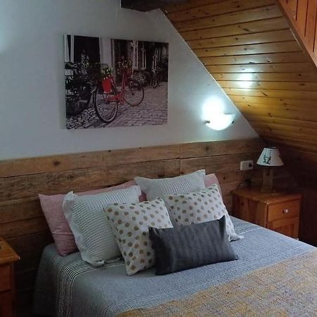 Co D'Eric Apartment Vielha Ngoại thất bức ảnh